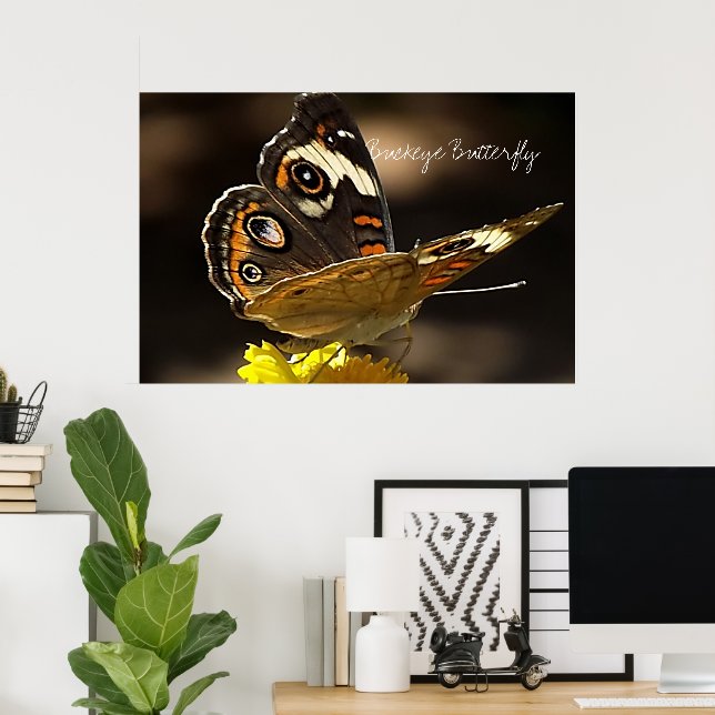Vackert Buckeye Butterfly på en Gult Flower Poster (Hemmakontoret)