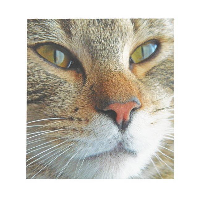 Vackert Cat Anteckningsblock (Framsida)