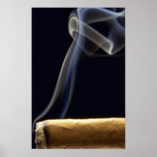 Vackert Cigar med rök Poster
