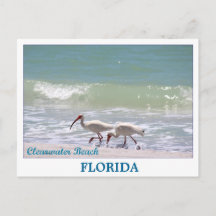 Vackert Clearwater Beach Florida-vykort