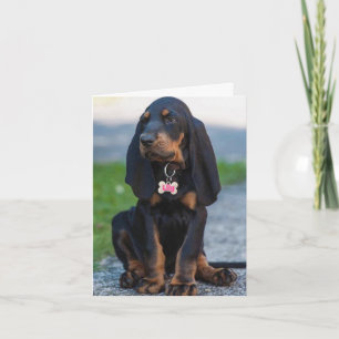 Vackert Coonhound valfri Tillfälle Kort
