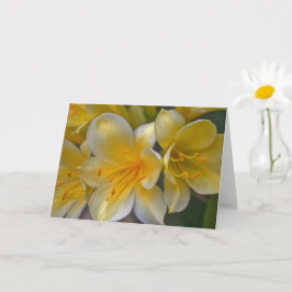 Vackert Cream Gult Guld Lily Flowers Art Card Kort
