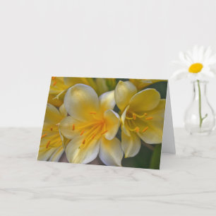Vackert Cream Gult Guld Lily Flowers Art Card Kort