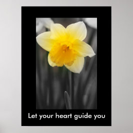 Vackert daffodil, Poster Pappert (projektionsyta)