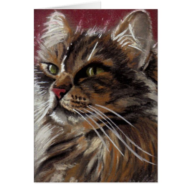 Vackert Dreamer - Maine Coon Cat Card Hälsningskort (Framsidan)