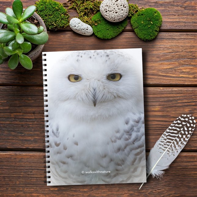 Vackert, Dreamy och Serene Snowy Uggla Anteckningsbok Med Spiral (Beautiful and Serene Snowy Owl Journal Cover Photo)