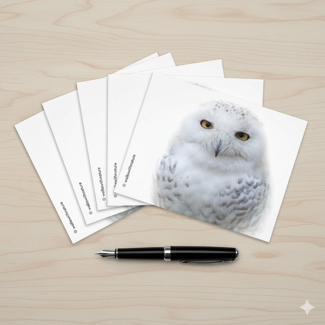 Vackert, Dreamy och Serene Snowy Uggla Fototryck (Snowy Owl Postcard Cover Photo 1)