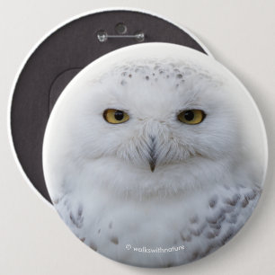 Vackert, Dreamy och Serene Snowy Uggla Knapp