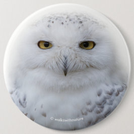 Vackert, Dreamy och Serene Snowy Uggla Knapp