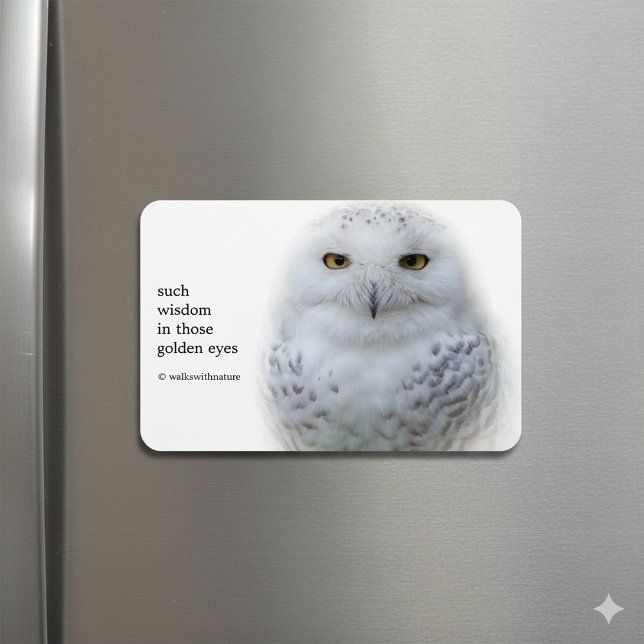 Vackert, Dreamy och Serene Snowy Uggla Magnet (Snowy Owl Magnet on Fridge Cover Photo)