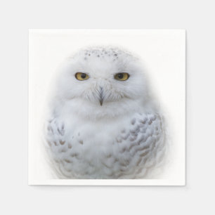 Vackert, Dreamy och Serene Snowy Uggla Pappersservett