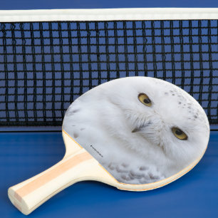 Vackert, Dreamy och Serene Snowy Uggla Pingisracket