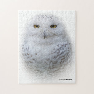 Vackert, Dreamy och Serene Snowy Uggla Pussel