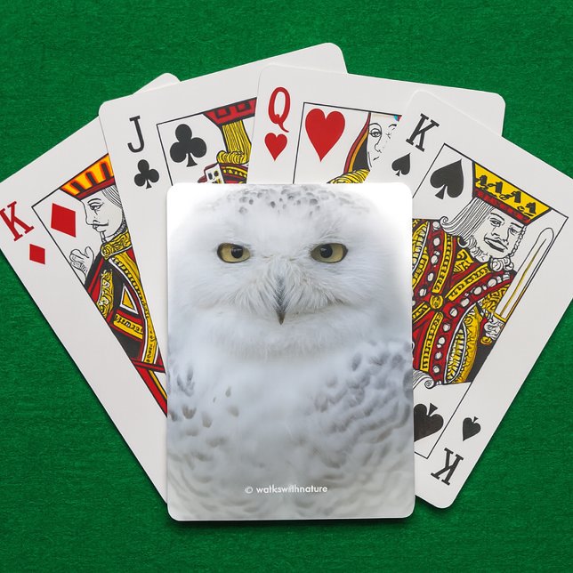 Vackert, Dreamy och Serene Snowy Uggla Spelkort (Snowy Owl Playing Cards on Green Felt Playing Surface Cover Photo)