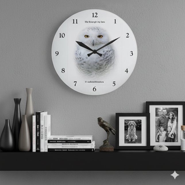 Vackert, Dreamy och Serene Snowy Uggla Stor Klocka (Snowy Owl Round Acrylic Clock Cover Photo)