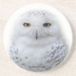 Vackert, Dreamy och Serene Snowy Uggla Underlägg