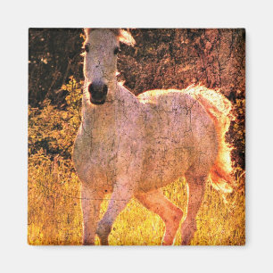 Vackert Equine Magnet