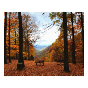 Vackert Fall Fototryck