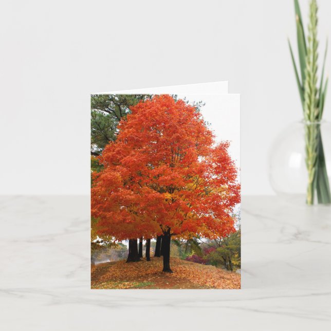 Vackert Fall Notecard Kort (Framsida)