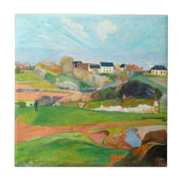 Vackert, färglöst landskap kakelplatta