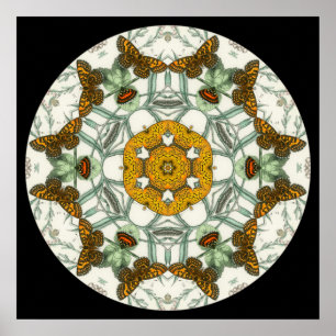 Vackert fjäril vingar mandala poster
