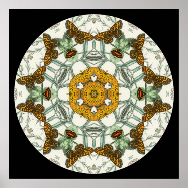 Vackert fjäril vingar mandala poster (Framsidan)