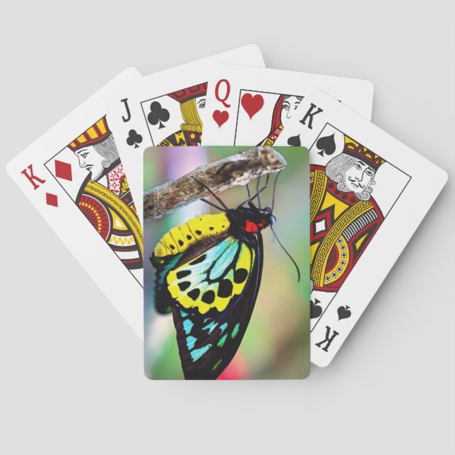 Vackert fjärilscett för uppspelningskort casinokort (Baksidan)