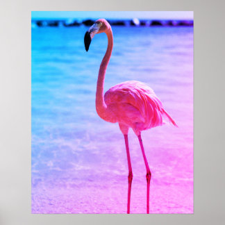 Vackert Flamingo i Vatten på en beach Poster