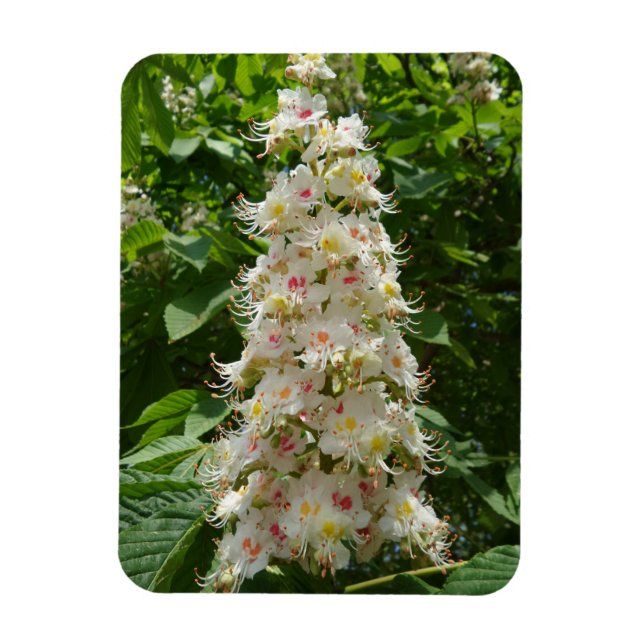 Vackert Flower 3 tum x4 tum Magnet (Vertikal)