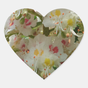 Vackert Flower Heart-märke Hjärtformat Klistermärke