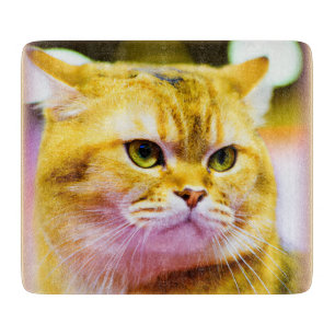 Vackert foto av en cute Cat. Köp nu