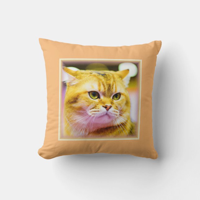 Vackert foto av en cute Cat. Köp nu Kudde (Framsida)