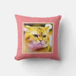 Vackert foto av en cute Cat. Köp nu Kudde