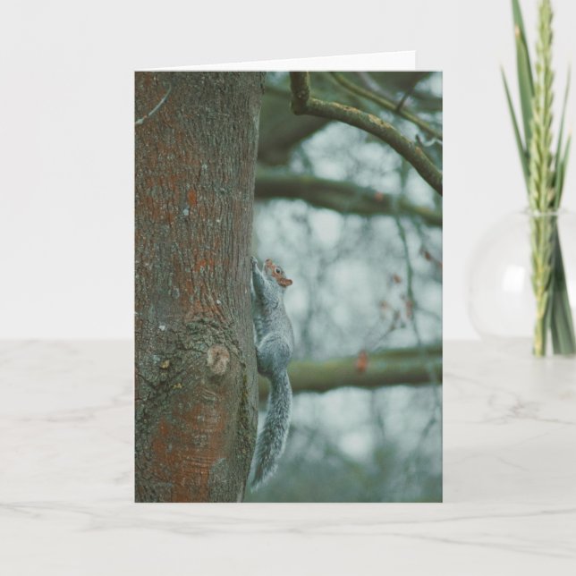 Vackert foto av ett blankott kort (Framsida)