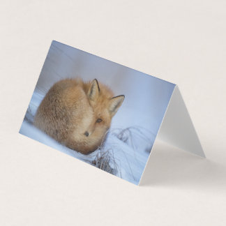 Vackert fox-blankkort kort