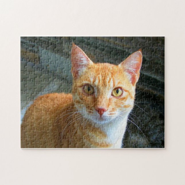 Vackert Ginger Cat Pussel (Horisontell)