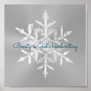 Vackert Grått-inspirerande snöflingor Poster