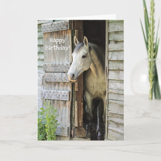Vackert Grått Mare Horse Anpassningsbar Grattis på Kort (Framsida)