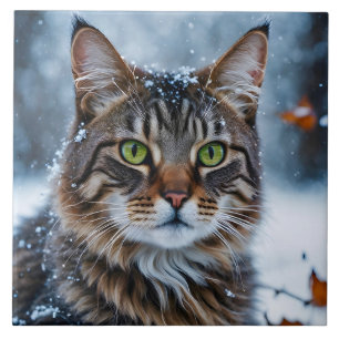 Vackert Grått Tabby katt i Snö Kakelplatta