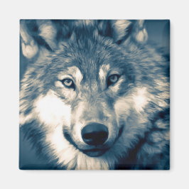 Vackert Grått Varg Woodland Animal Magnet