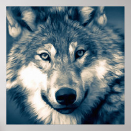 Vackert Grått Varg Woodland Animal Poster
