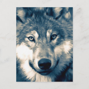 Vackert Grått Varg Woodland Animal Vykort