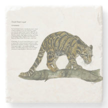 Vackert handmålat utrotningshotat molnlök