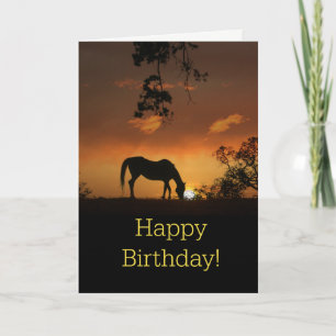 Vackert Horse Grattis på födelsedagen Card Kort