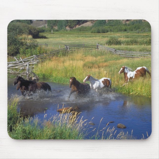 Vackert Horse Ranch Destiny Nature Musmatta (Framsidan)