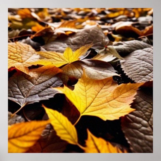 Vackert höst blad på marken 4 poster (Framsidan)