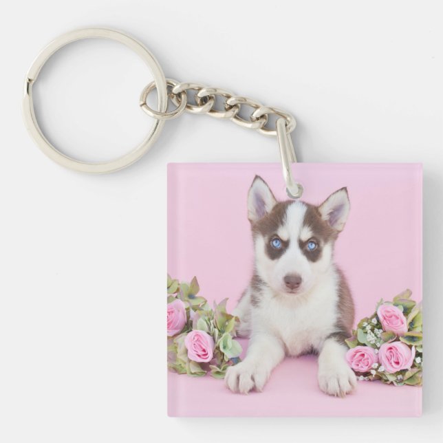 Vackert Husky Puppy med Rosa ros (Framsidan)