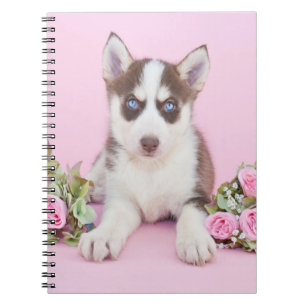 Vackert Husky Puppy med Rosa ros Anteckningsbok