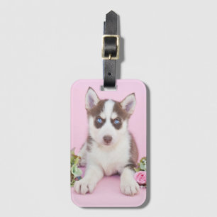 Vackert Husky Puppy med Rosa ros Bagagebricka