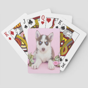 Vackert Husky Puppy med Rosa ros Casinokort